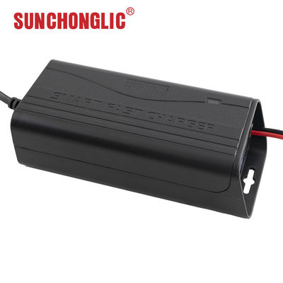 Buon prezzo Caricabatterie portatile AGM GEL 12V 3A con ingresso trifase per batterie al piombo in linea